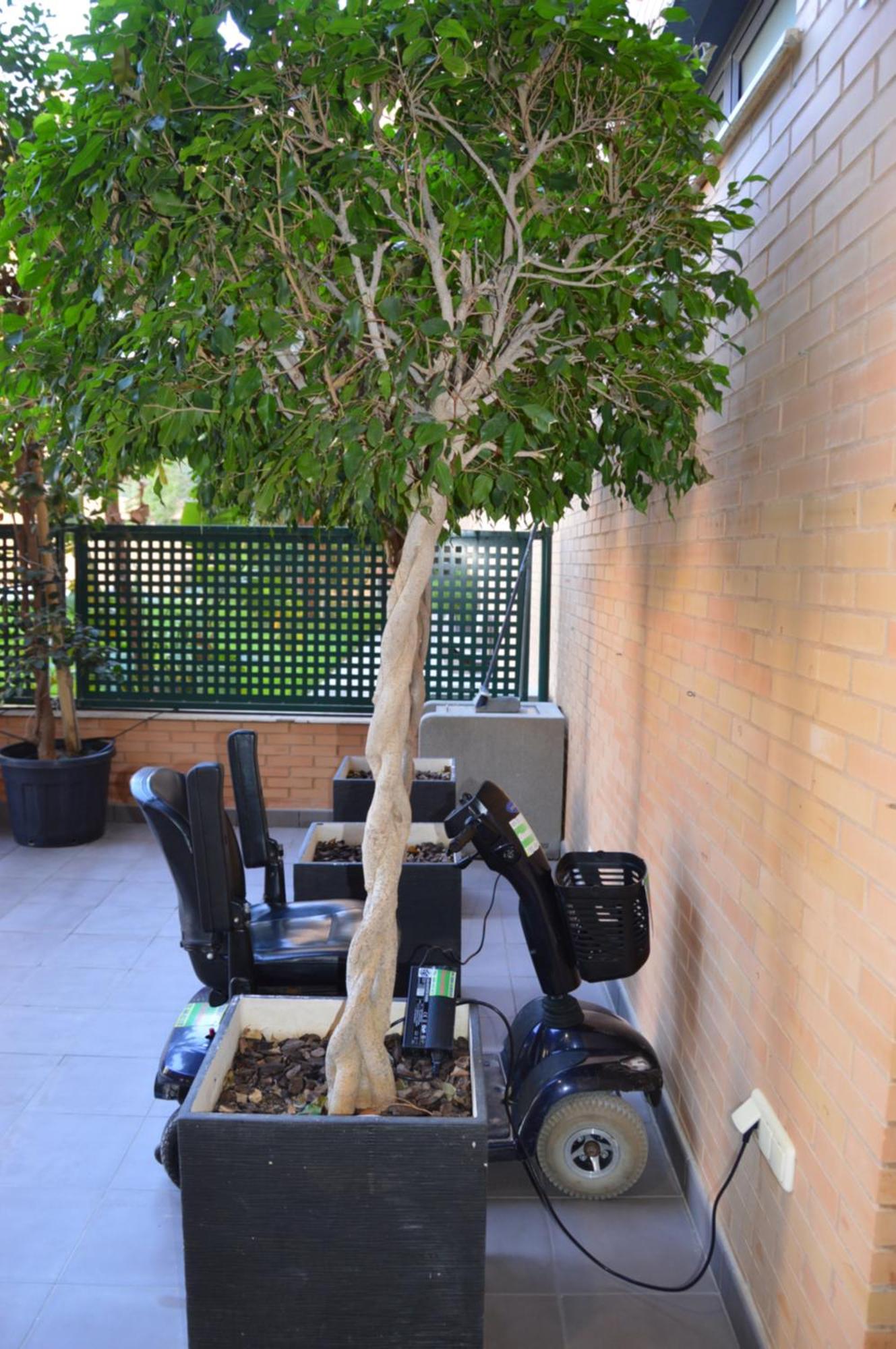 Albir Beach & Sun Apt 阿尔比尔 外观 照片